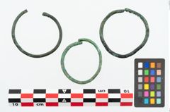 Foto von Bronzering (NHMW-PRAE-026187)
